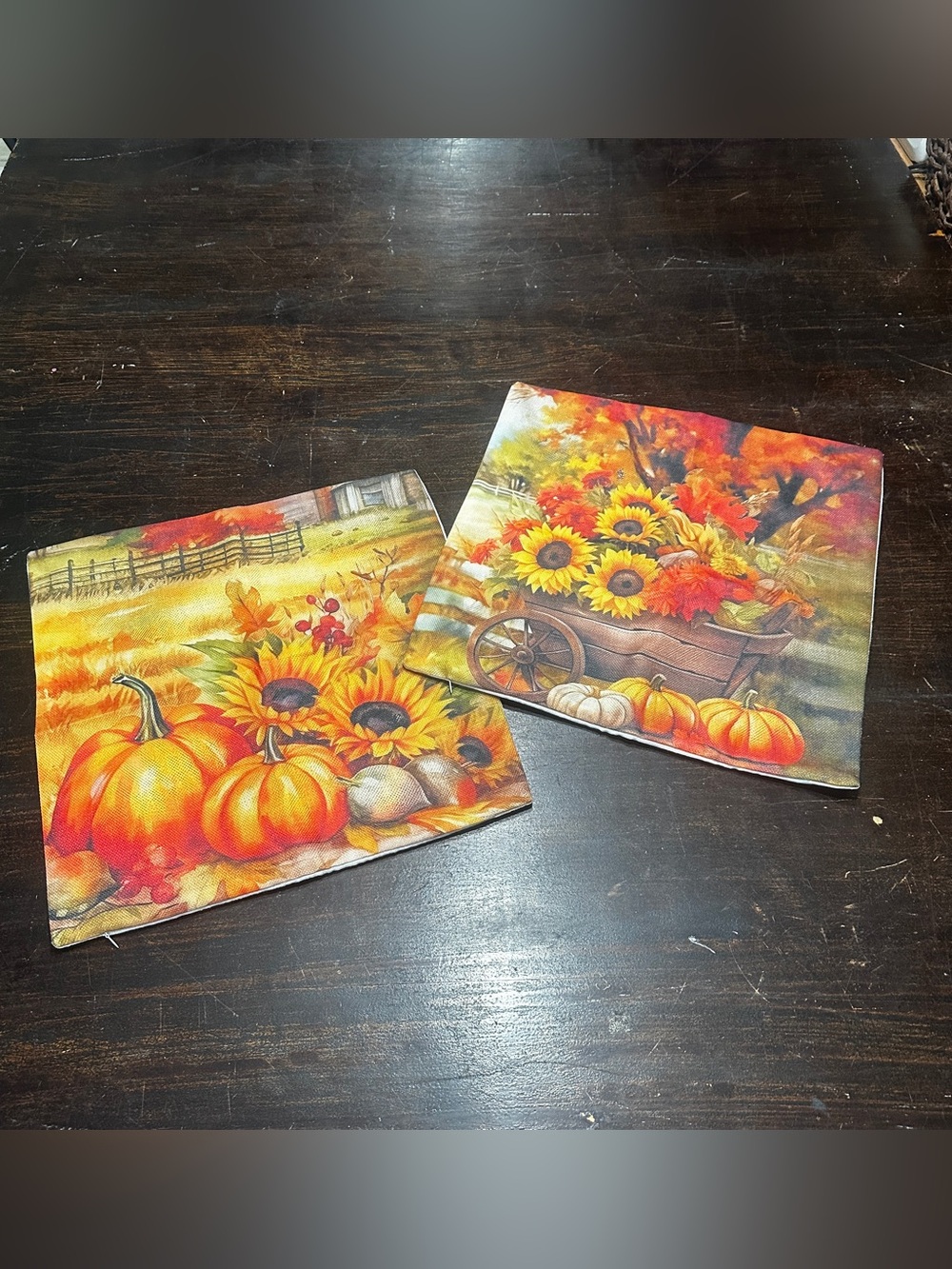 Autumn Accent Pillow Covers